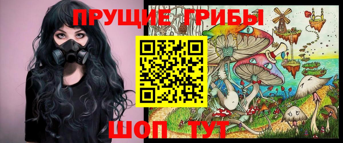 Псилоцибиновые грибы Magic Shrooms  Вход с VPN  Карталы 